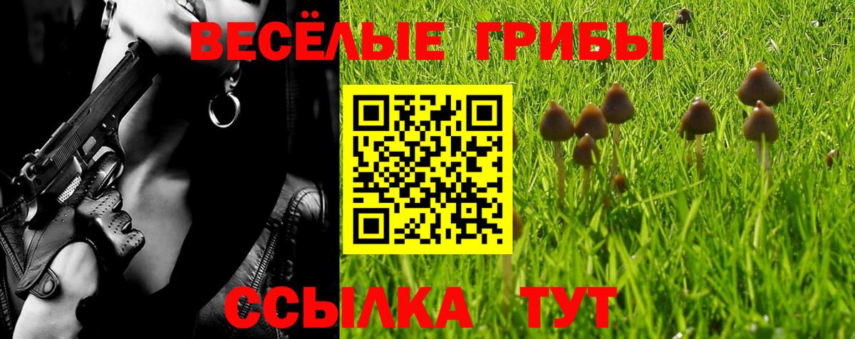 Псилоцибиновые грибы мицелий  сколько стоит  Сургут  Вход с VPN 