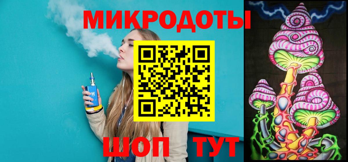 Псилоцибиновые грибы Psilocybe Сургут